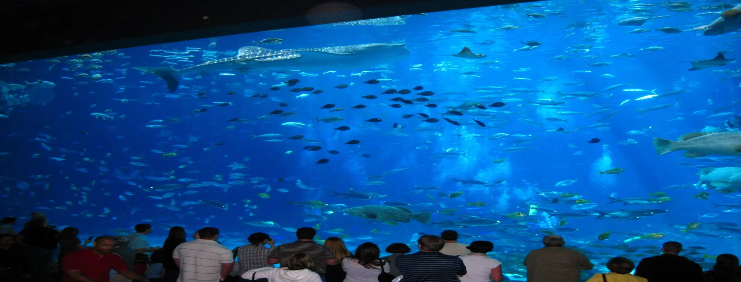 Image for Khartoum Aquarium